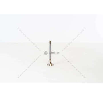 Outlet valve Q4BA/4HT - MONDEO/407/C5 2.2 D EX Mec-Diesel