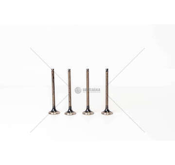 Outlet valve QUBO/FIORINO 1.4 - 8 V. GAS EX Mec-Diesel