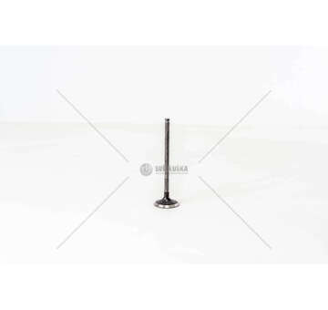 Outlet valve Rav 4 2.0 16V E 1AZFE Mec-Diesel