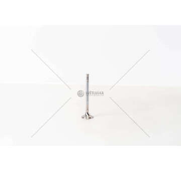 Outlet valve SMART 800 CDI - OM 660.914/950 EX Mec-Diesel