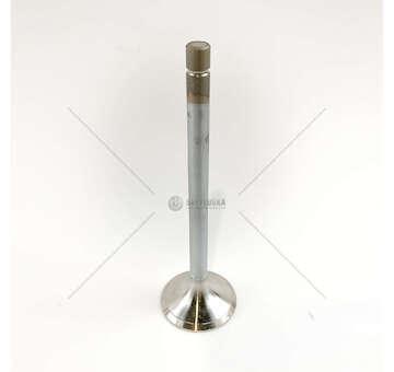 Outlet valve TD 120>123 - F12 EX Mec-Diesel