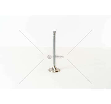 Outlet valve TD 120 A - F80 EX Mec-Diesel