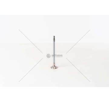 Outlet valve TRANSIT 2.4 TDDI -DURATORQ ZSD-424 EX Mec-Diesel