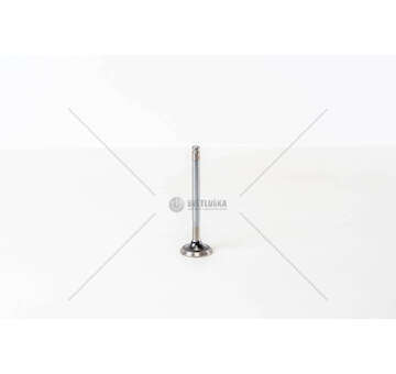 Outlet valve UNO 75 EX Mec-Diesel
