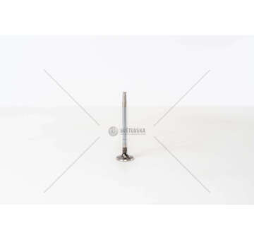 Outlet valve VITO/SPRINTER/C200/E220 2.0/2. 2 CDI - EX Mec-Diesel