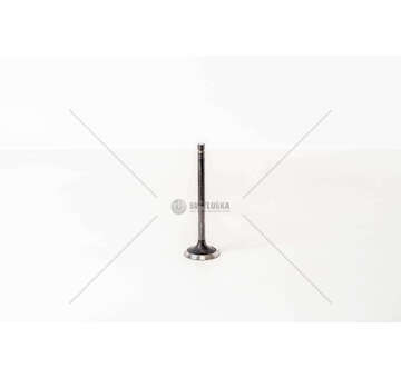 Outlet valve WL-T - MPV/B2500 2.5 TD Mec-Diesel