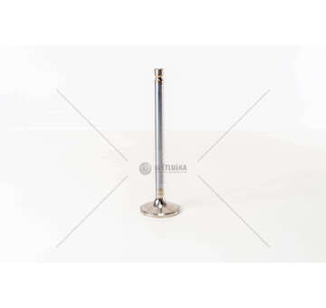 Outlet valve WS 242/268/295/WS 315 G/L/M D.130 EX Mec-Diesel