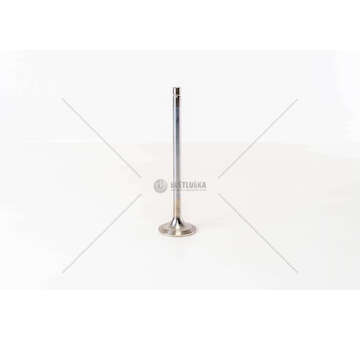 Outlet valve XF 250/280/315/355M 4V E2 30° D.130 EX Mec-Diesel