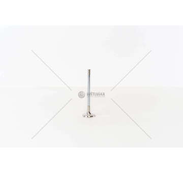 Outlet valve XSARA-SAXO 1.6I EX Mec-Diesel