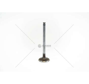 Outlet valve YARIS/ MINI 1,4 TDI 1NDTV W17D14A Mec-Diesel