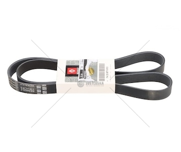 Ozubený klínový řemen RVI 8PK1570 RVI 7423875813
