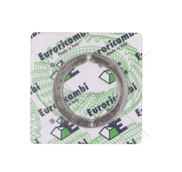 PIERSCIEN DZIELONY SKRZ.BIEG.ZF Z OSLONA EURORICA 95531382