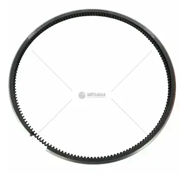 Pístní kroužek pr.100x5 ex | 5901-0391-7