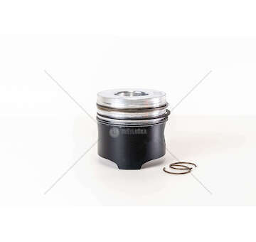 Piston 8060.24 TESTA PIANA VASCH.51 D.103 Mec-Diesel