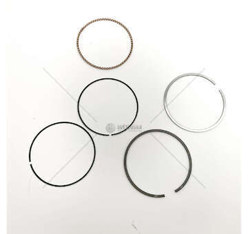 Piston Ring Kit FIESTA IV 1,2 - 1,5 -2,5 D.71,9 Mec-Diesel
