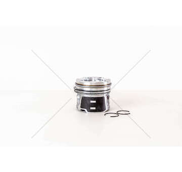Piston SCUDO/FOCUS/MINI 1.6HDI E4 16V D.75,5 Mec-Diesel