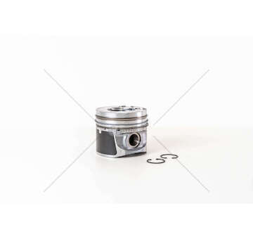 Piston YD25DDTI - NP300/CABSTAR 2.5 D Mec-Diesel