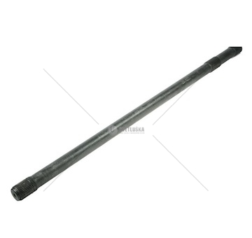 POLOS MB EURORICA 60170965