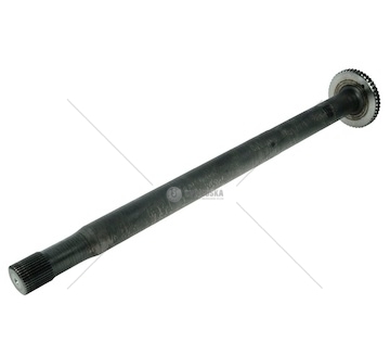 POLOS MB EURORICA 60200044