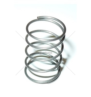 Pružina čističe paliva Multicar M25