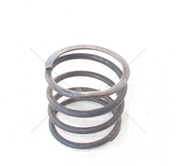 Pružina přítlačná regul.Multicar M22