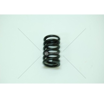 Pružina řazení diferenciálu nápravy SCANIA TZERLI 0377008/Z