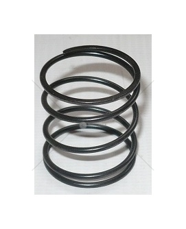 Pružina tělesa ventilu posilovač řazeni Tatra