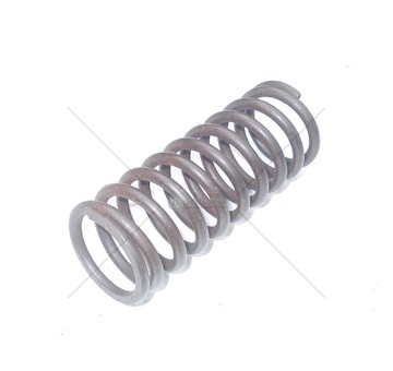 Pružina válečku uzávěrky diferenciálu Liaz