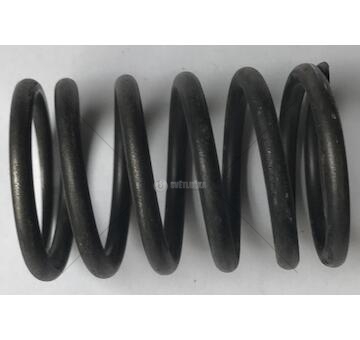 Pružina ventilu Multicar M22