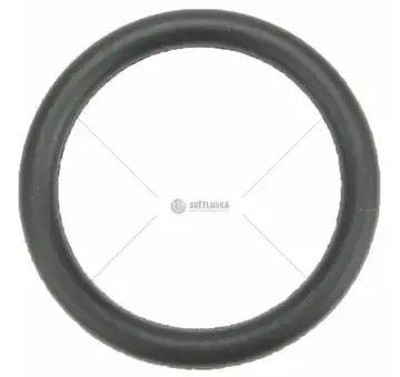 Pryžové těsnění | 6005013346