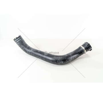 Radiator Hose MAN.INF.RADIATORE STRALIS S40/43 Iveco