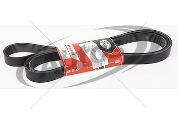 Řemen drážkový 8pk2630 mercedes actros mp4 0209479_A