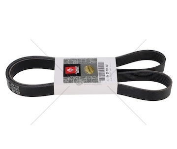 Řemen rozvodový 8PK1515 RVI 7420725537