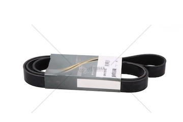 Řemen rozvodový HD DAYCO 8PK1761HD