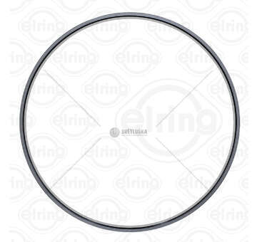 Ring Gear, crankshaft 115 X120 X21 / FE PR Elring