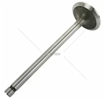 Sací ventil | 81865095-N