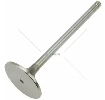 Sací ventil | R98062-N