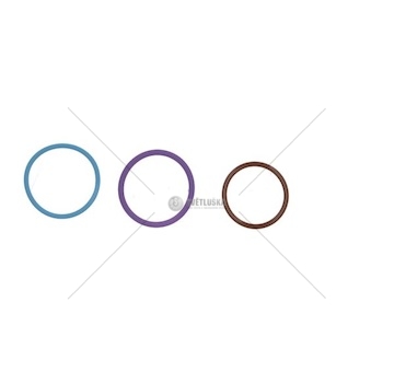 Sada na opravy, jednotka trysky čerpadla BOSCH F 00V X99 995