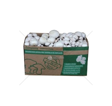 Sada pro pěstování Žampión bílý 10kg (Agaricus Bisporus)