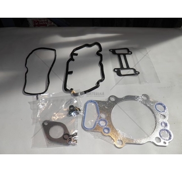 Sada těsnění, hlava válce ELRING EL138490