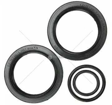 Sada těsnění mezidržáku kardanu | 1921