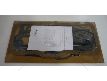 Sada těsnění motoru AVIA motor D421 85kW