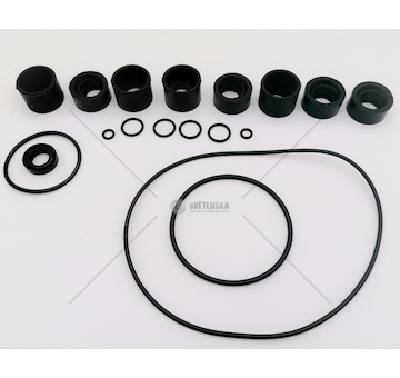 Sada těsnění motoru Multicar M22 - gumové