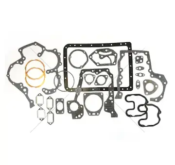 Sada těsnění motoru t-25 bez gufer | M-D21