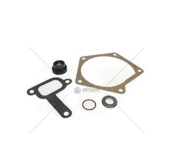 Sada těsnění pro opravu vodního čerpadla 10000994