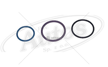 Sada těsnících kroužků čerpadla scania 94,114,124,144 dc 9.19/20/21, dc11, dsc12 0056802_A