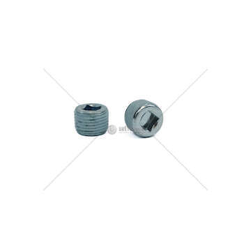 Screw Cap TECTOR Iveco