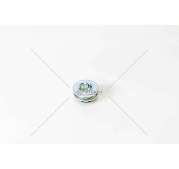 Seal DAILY/DUCATO - F1AE0481/F1AGL411 DIAM.30MM Iveco