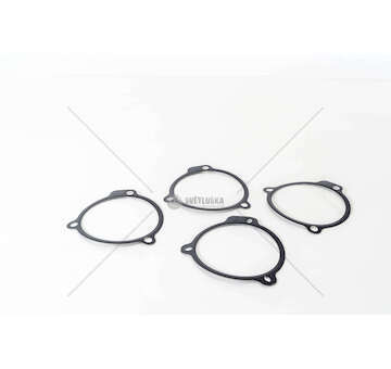 Seal GU POMPA ALIMENT CURSOR/STRALIS LAM/GM Iveco