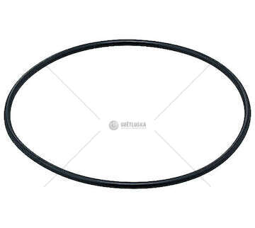 Seal Ring 117,5x3,5 / AEM RD Elring